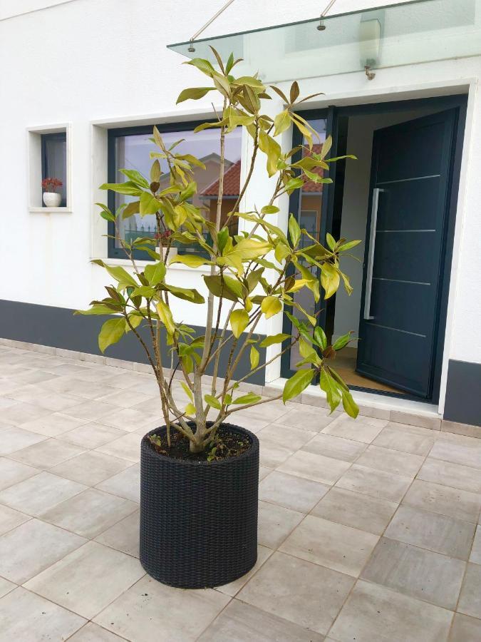 Casa Patio Country House Enxara do Bispo Exterior photo