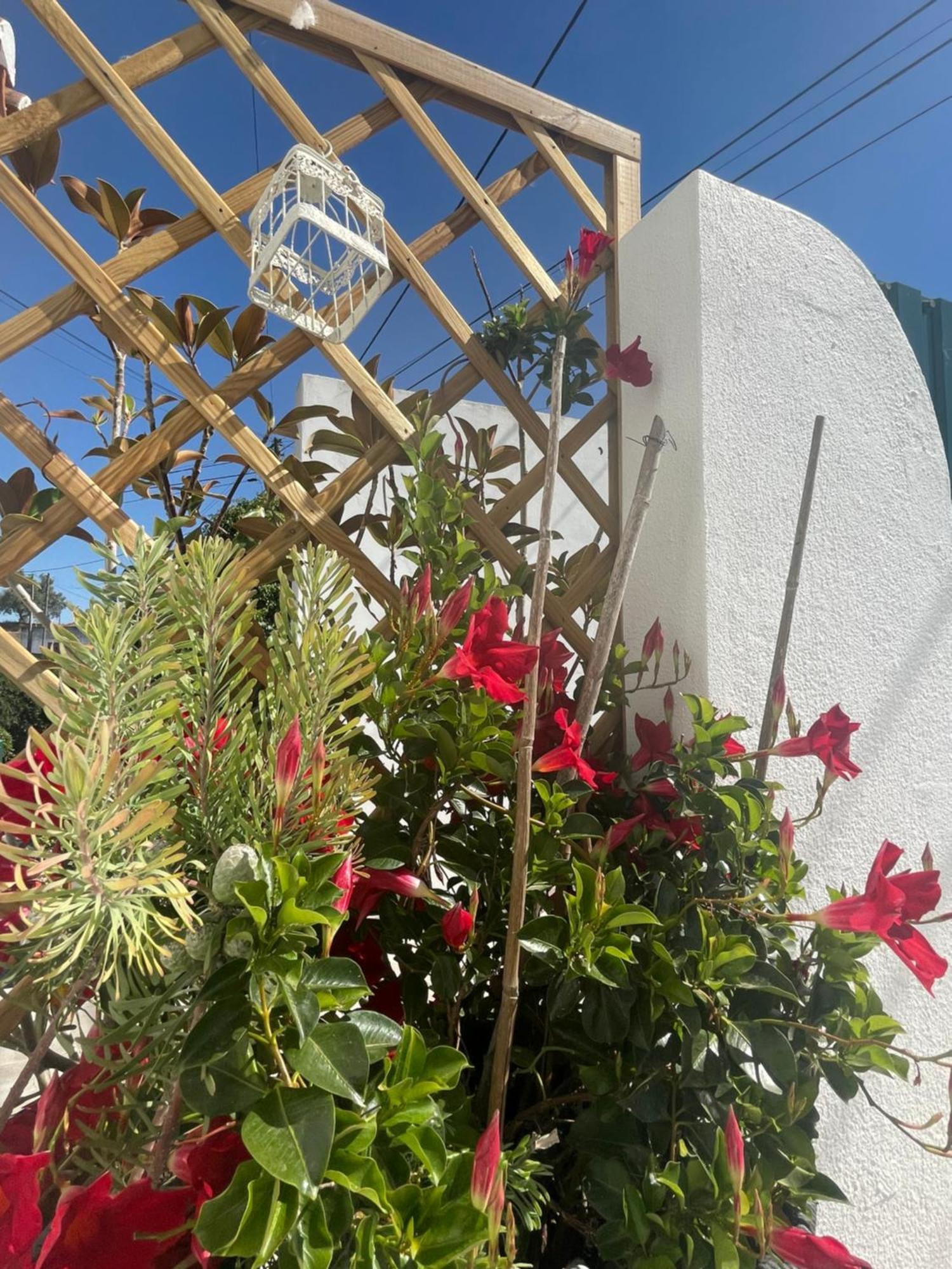 Casa Patio Country House Enxara do Bispo Exterior photo
